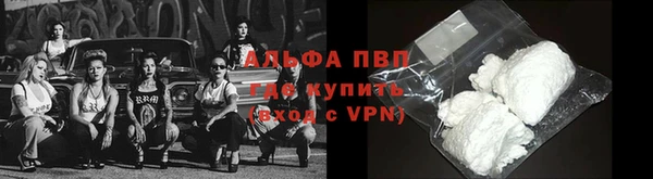 гидра Михайловка