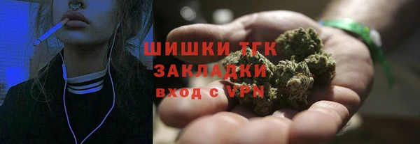 гидра Михайловка