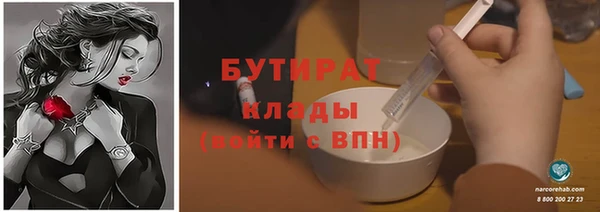 гидра Михайловка