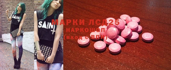 гидра Михайловка