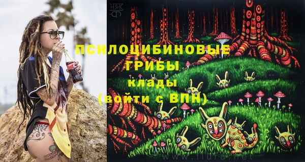 гидра Михайловка