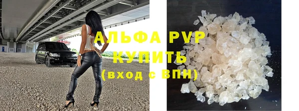 гидра Михайловка