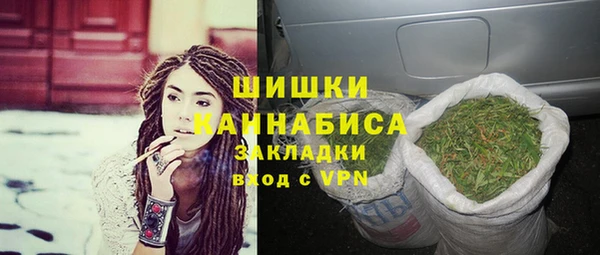 гидра Михайловка