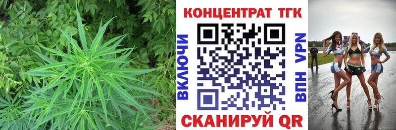 Купить закладки  Нытва  Дистиллят ТГК жижа 